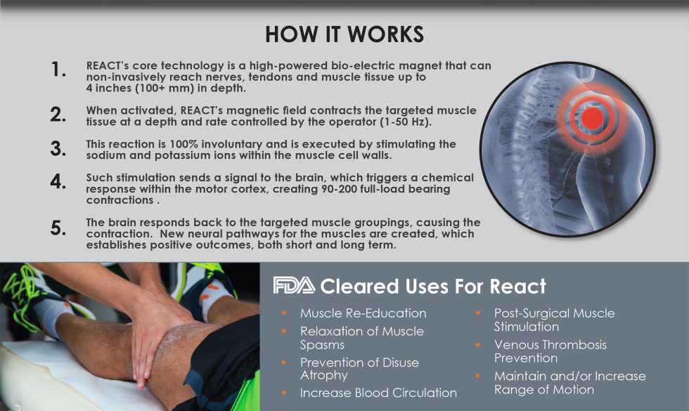 BioElectric Therapy Neuromuscular Pain Relief MN